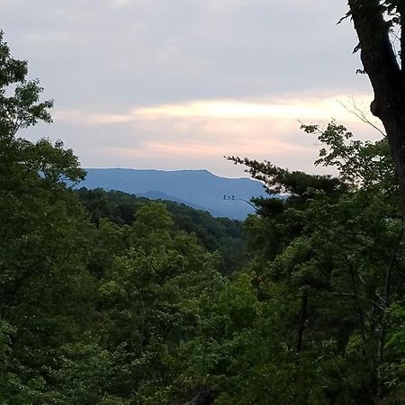 Rustic Cabin 塞维尔维尔 外观 照片